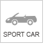 sys_cartype_05